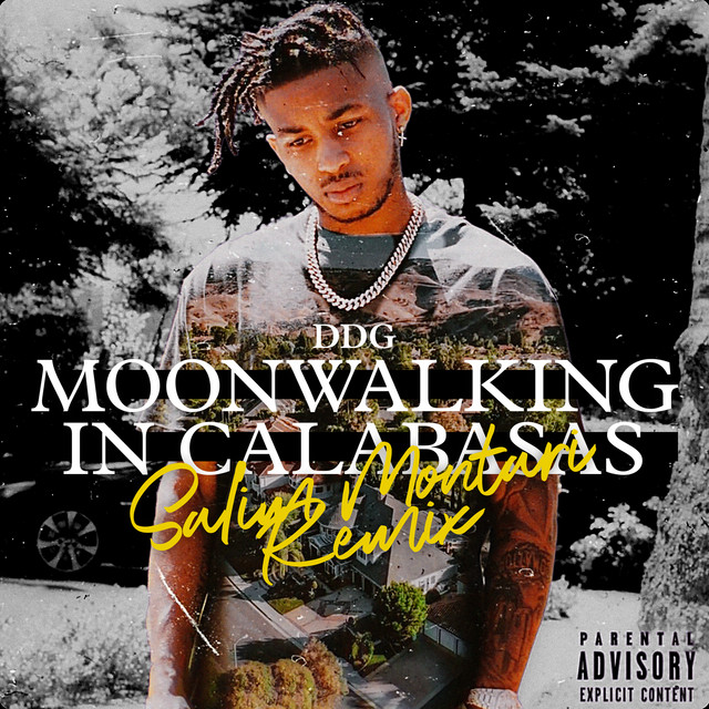 'Moonwalking in Calabasas (Salim Montari Remix)' cover art
