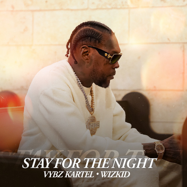 'Stay For The Night' cover art