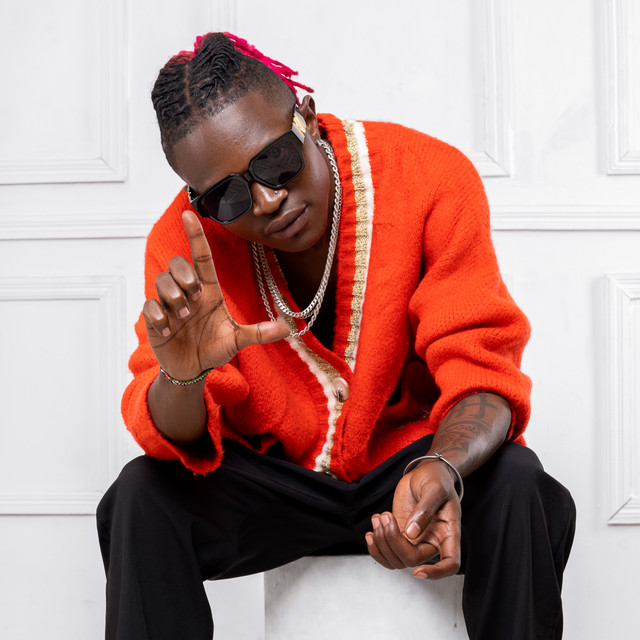 Mr Seed - Official Artist Photo