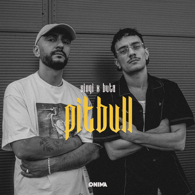 'PITBULL' cover art