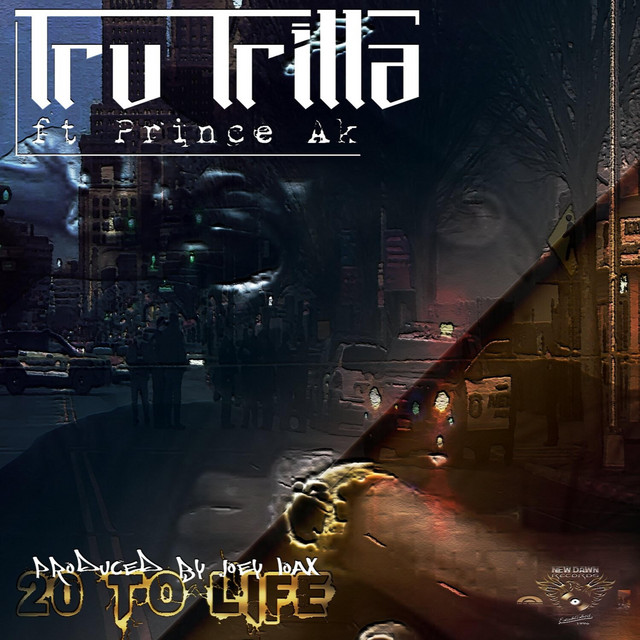 '20 to Life' cover art