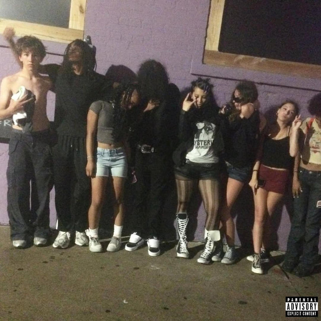 'S'il Vous Plaît' cover art