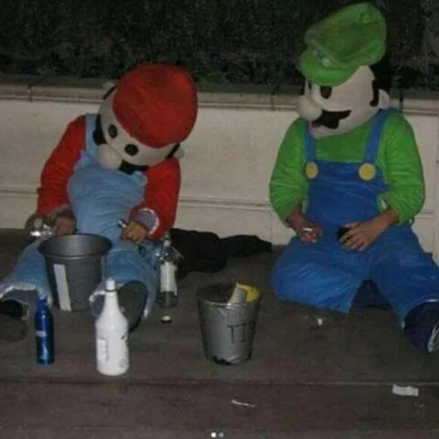 'mario n luigi' cover art