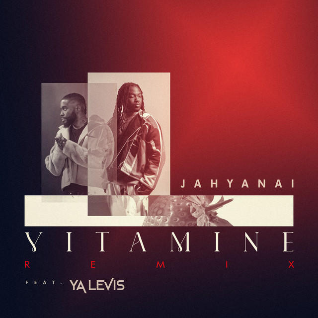'Vitamine' cover art