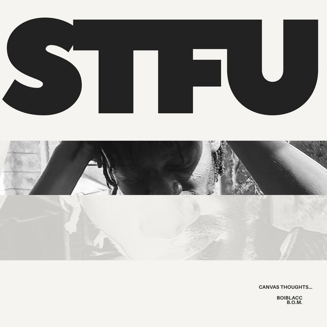 'Canvas Thoughts...Stfu' cover art