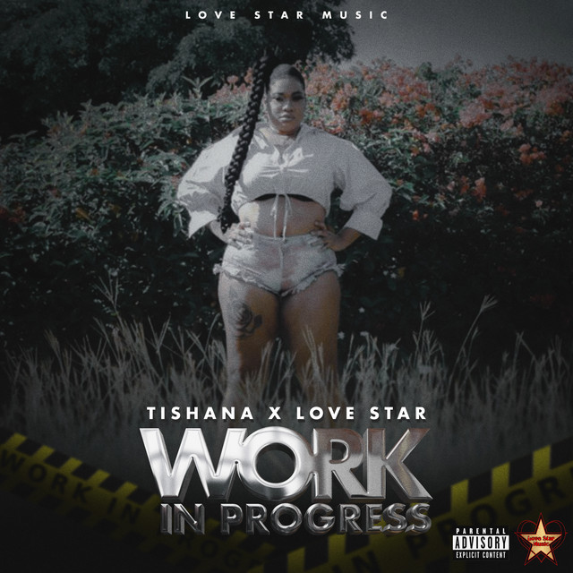 'Work in Progress' cover art