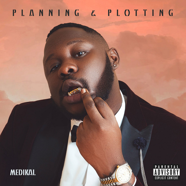 'Planning & Plotting' cover art