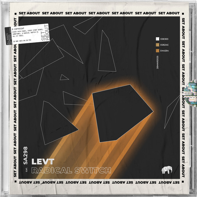 'Radical Switch' cover art