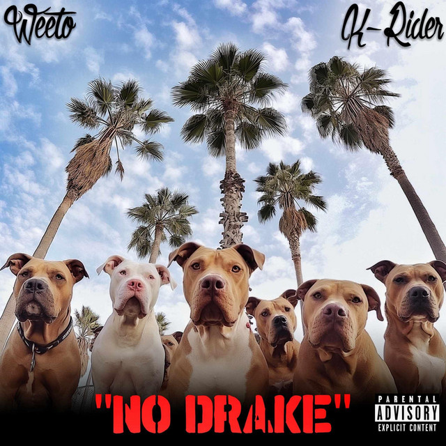 'NO DRAKE' cover art