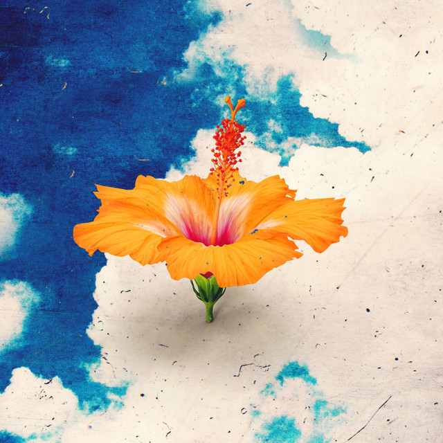 'Non sei la prima' cover art