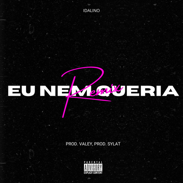 'Eu nem queria (REMIX)' cover art