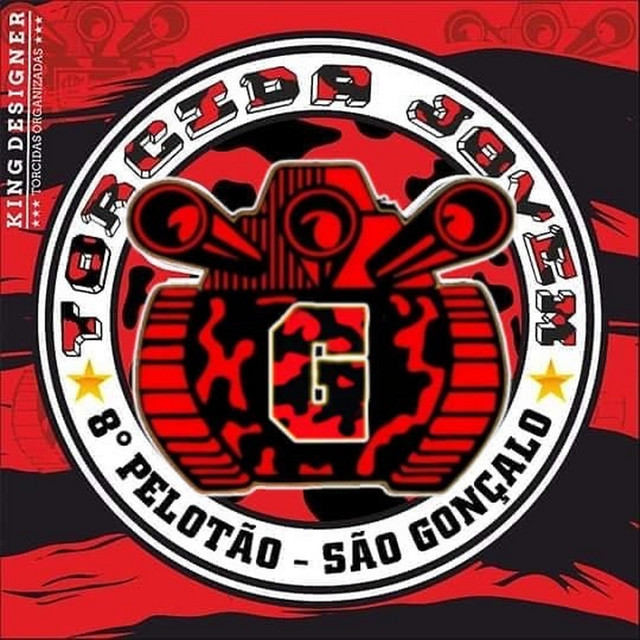 'É A TORCIDA JOVEM FLA 8 PELOTAO' cover art