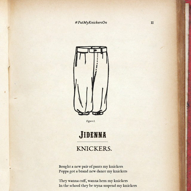 'Knickers' cover art