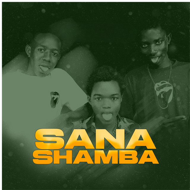 'Sana Shamba' cover art