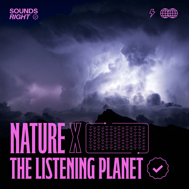 'Sacred Storms' cover art