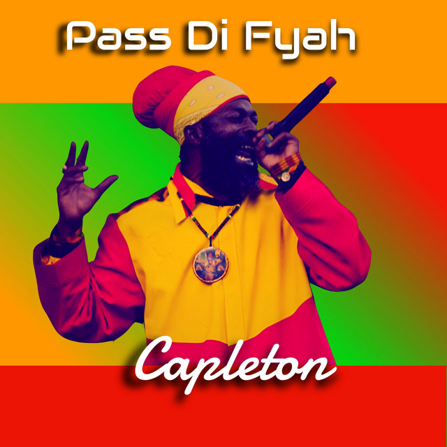 'Pass Di Fyah (Remix)' cover art