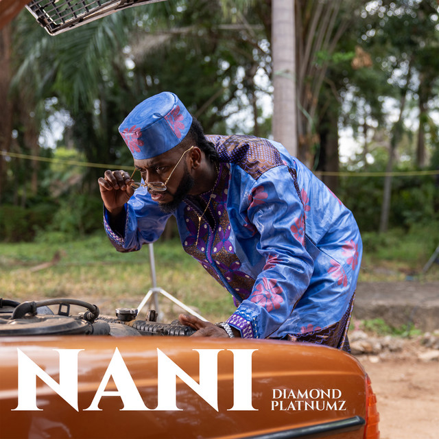 'Nani' cover art