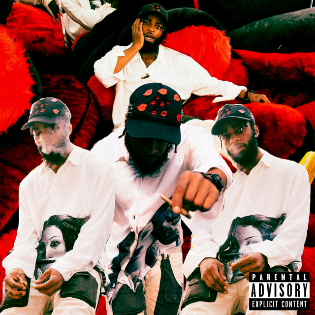 'RISK MY LIFE' cover art
