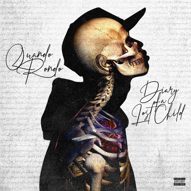 'Diary of a Lost Child' cover art