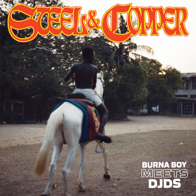 'Steel & Copper' cover art