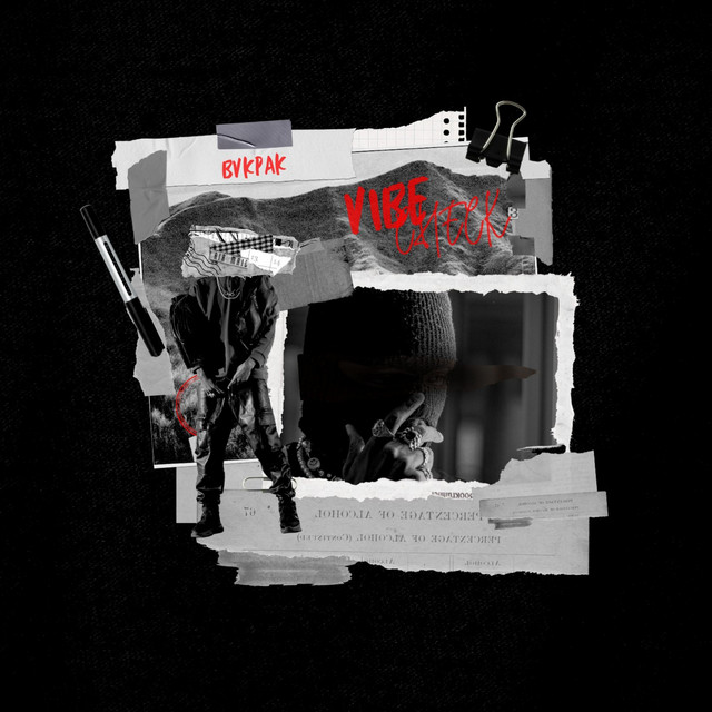 'VIBE CHECK' cover art
