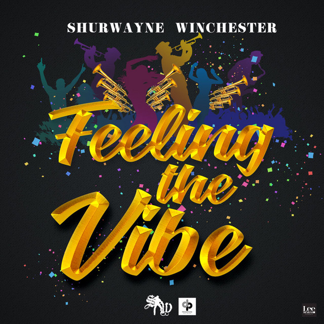 'Feeling the Vibe' cover art