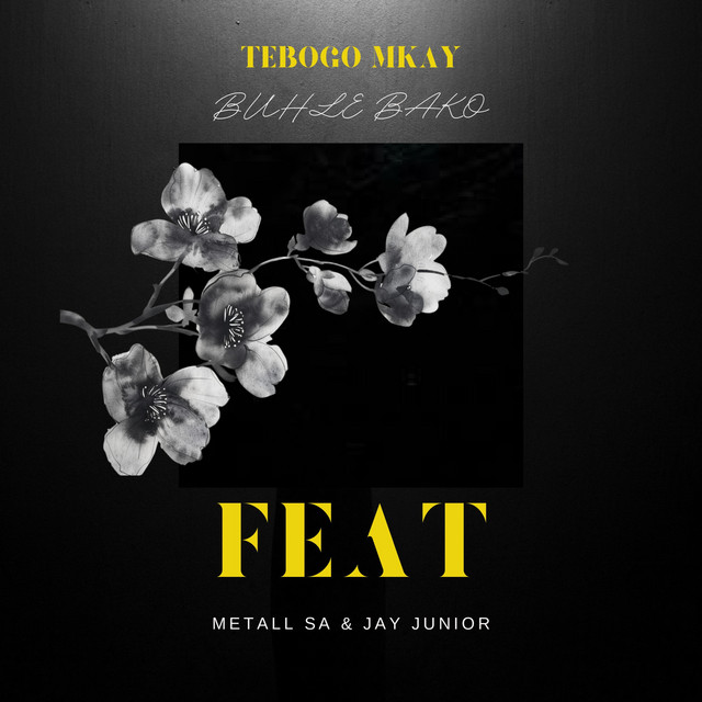 'Buhle Bako' cover art