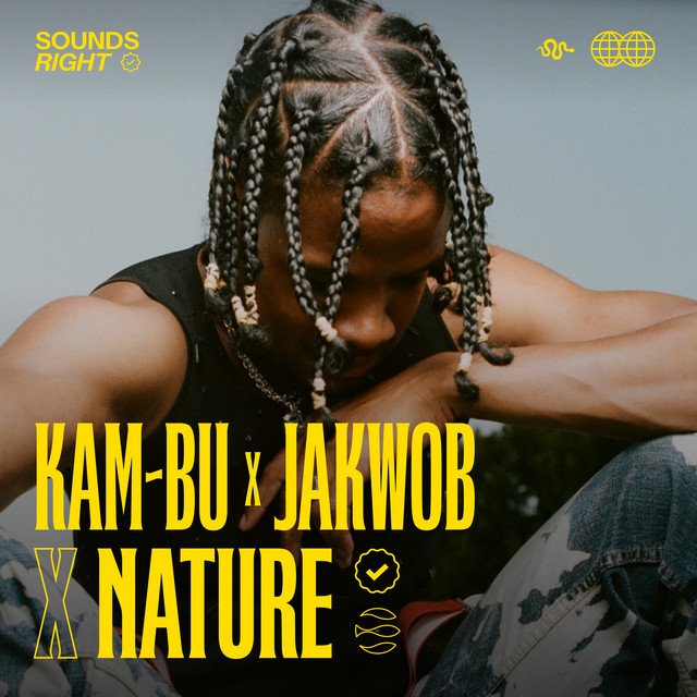 'Metropolis (feat. NATURE)' cover art