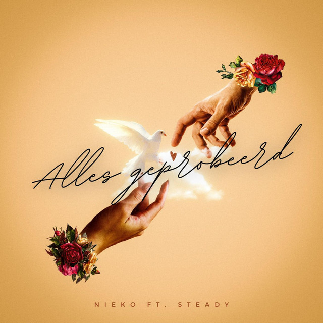 'ALLES GEPROBEERD' cover art