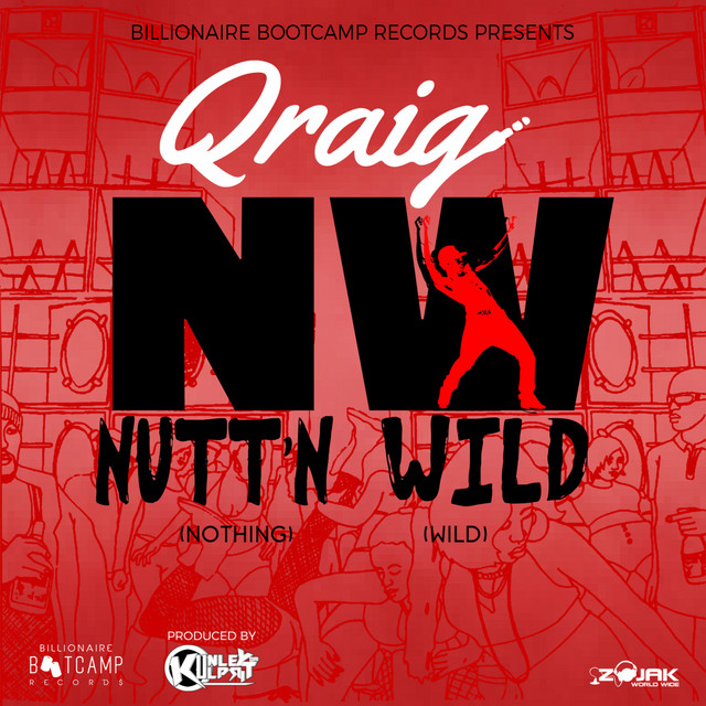 'Nutt'n Wild (Nothing Wild)' cover art