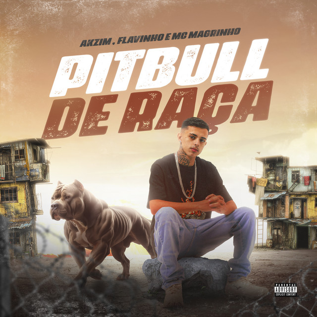 'Pitbull de Raça' cover art