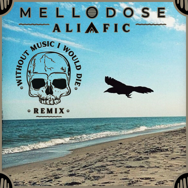 'Without Music I Would Die (Remix)' cover art