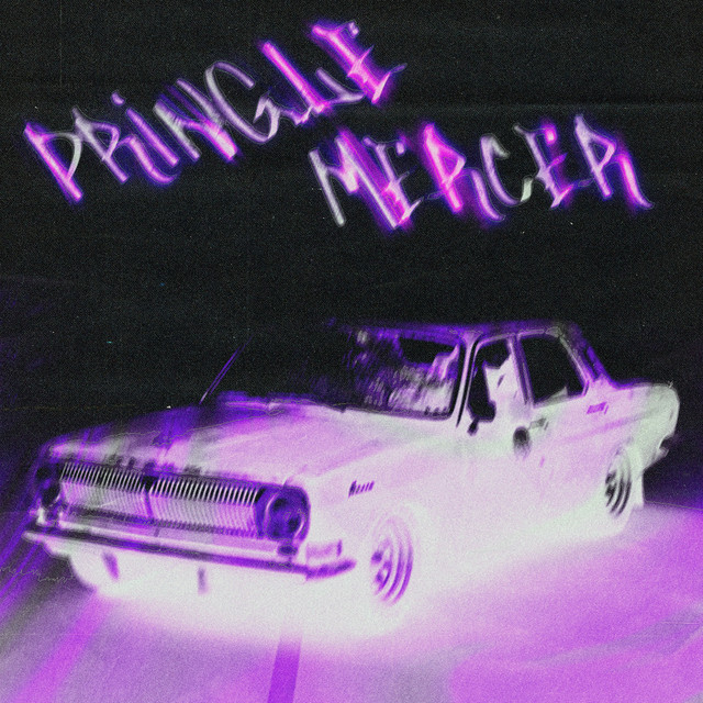 'Pringle Mercer' cover art