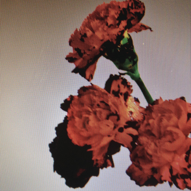 'Made To Love' cover art