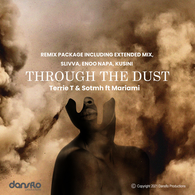'Through The Dust Remix Package' cover art