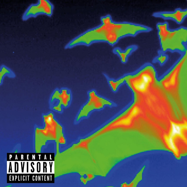 'NOCTURNAL' cover art