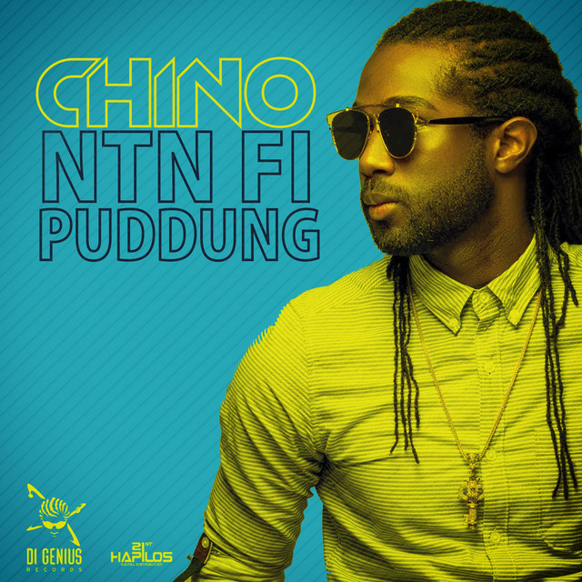 'Ntn Fi Puddung' cover art