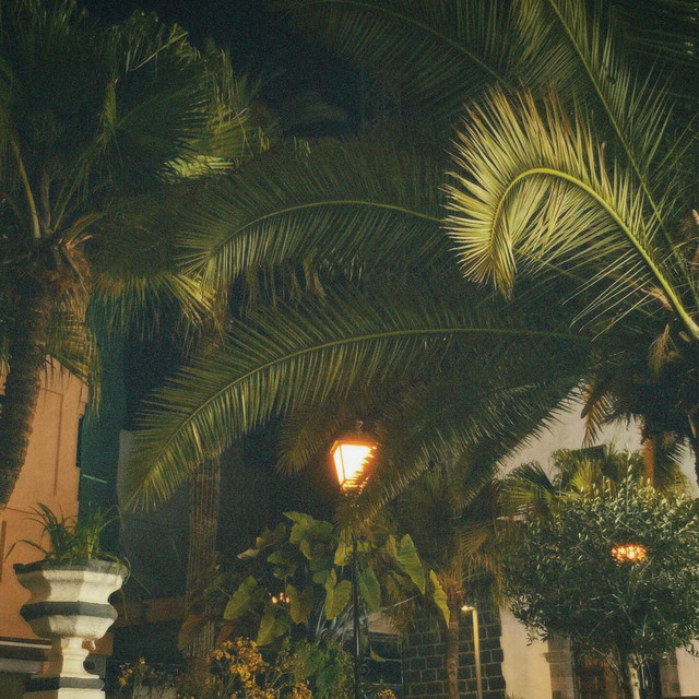 'evening breeze' cover art