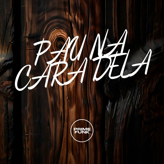 'PAU NA CARA DELA' cover art