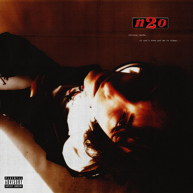 'n2o' cover art