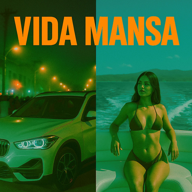 'Vida Mansa' cover art