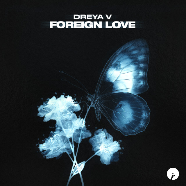 'Foreign Love' cover art