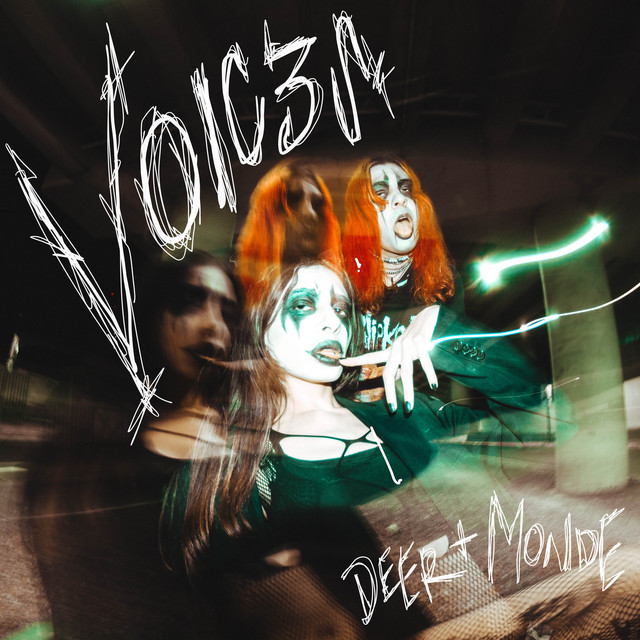 'VOIC3S' cover art