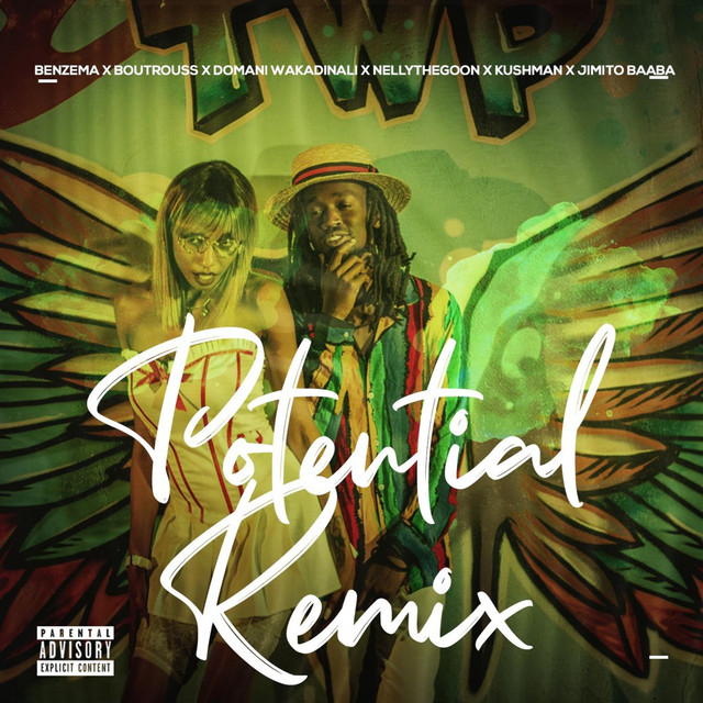 'Potential Remix (Feat Boutross, Domani Wakadinali, Nellythegoon, Kushman & Jimito Baaba)' cover art