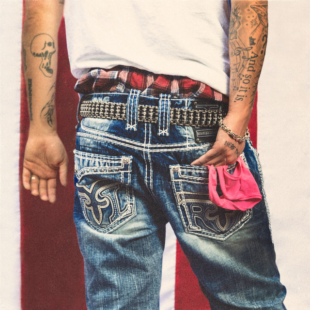 'Porn in the U.S.A.' cover art