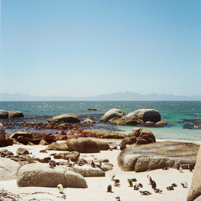 'lazing' cover art