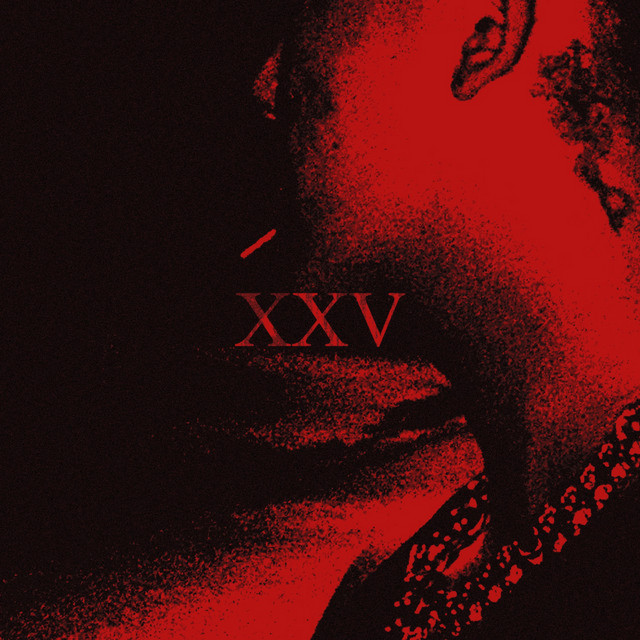 '25' cover art