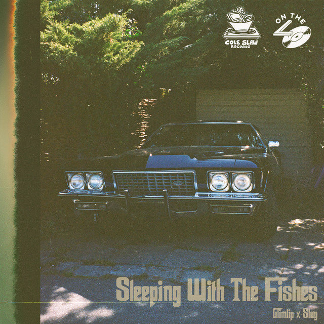 'Sleeping With The Fishes' cover art