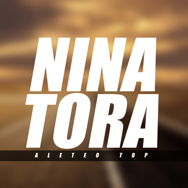 'Nina Tora (Remix)' cover art