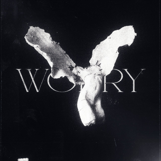 'worry (ultra slowed)' cover art